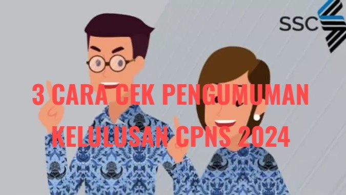 3 Cara Cek Pengumuman Lolos CPNS 2024, Peserta Seleksi Buruan Simak