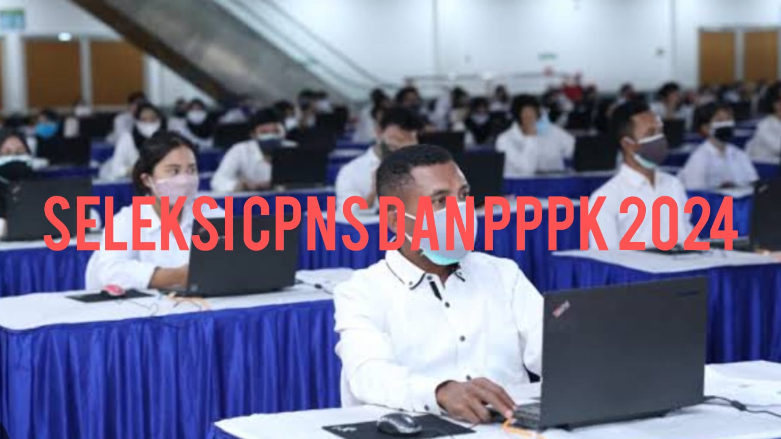 Info Terbaru CPNS dan PPPK  Badan Karantina Indonesia 2024, Ada Ribuan Formasi Lulusan SMA Hingga Sarjana