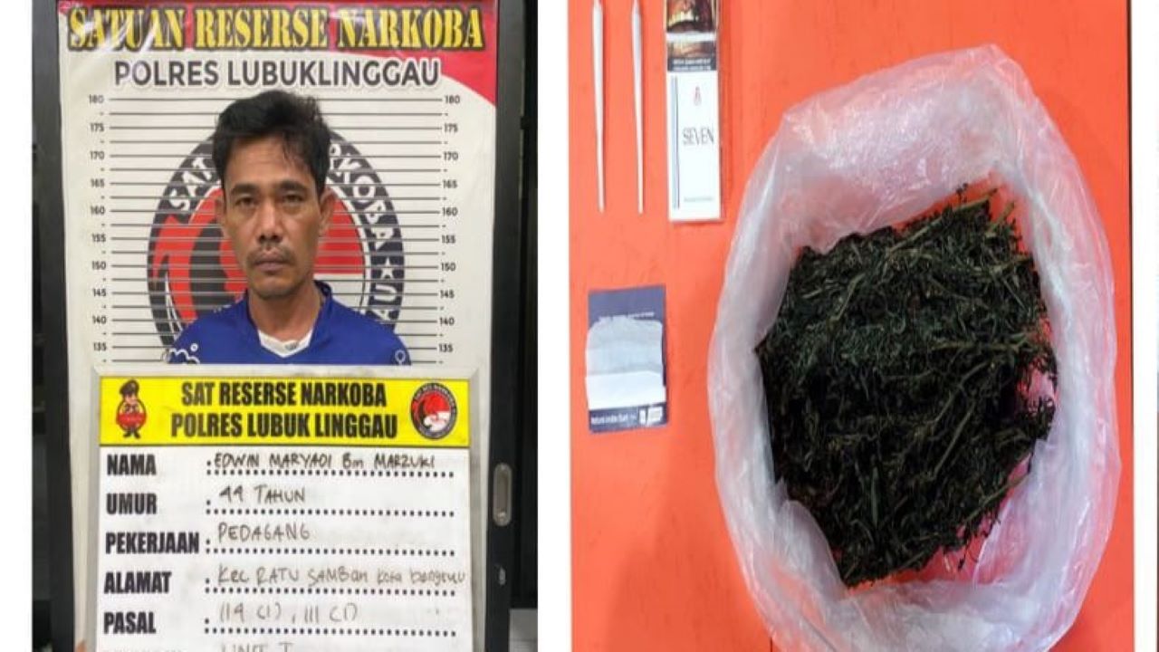 Nelayan Bengkulu Ditangkap Bawa Ganja di Lubuk Linggau, Ngaku Biar Tidak Mabuk Saat Melaut
