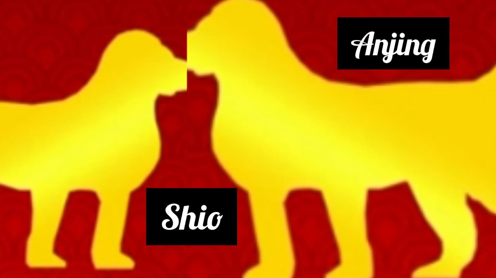 Karakter Shio Anjing Tahun Naga Kayu Setelah Imlek 2024, Soal Kinerja Tidak Diragukan, Kejujuran Oke Banget