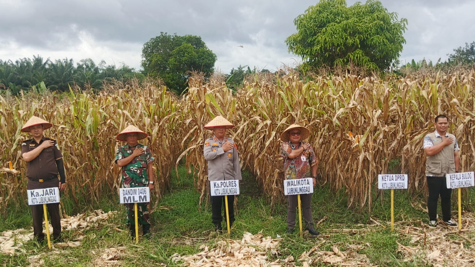 Dukung Program Nasional, Polres Lubuk Linggau Gelar Panen Raya Jagung Kuartal I Tahun 2026