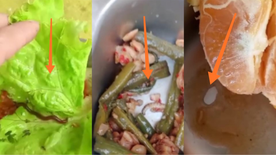 Viral Video Cacing di Sayur Program MBG Musi Rawas, Warga 2 Desa Tolak Makan Bergizi Gratis