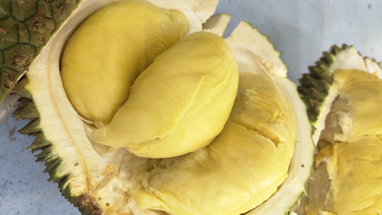 Suka Makan Durian? Ini Takaran yang Tepat dalam Sehari, Kalian Wajib Tahu!