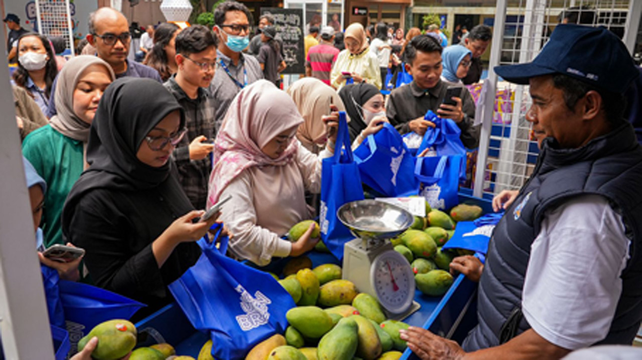 Diberdayakan BRI, Petani Mangga Bondowoso Mampu Perluas Lahan dan Tingkatkan Taraf Hidup