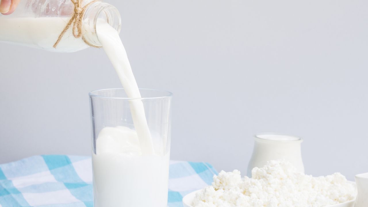 Peluang Usaha, BGN Akui Kekurangan Pasokan Susu untuk MBG