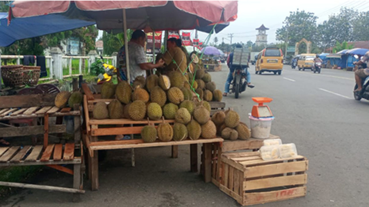 Raja Buah Asia Tenggara, Ini 7 Fakta Unik dan Menarik Duren yang Belum Banyak Diketahui