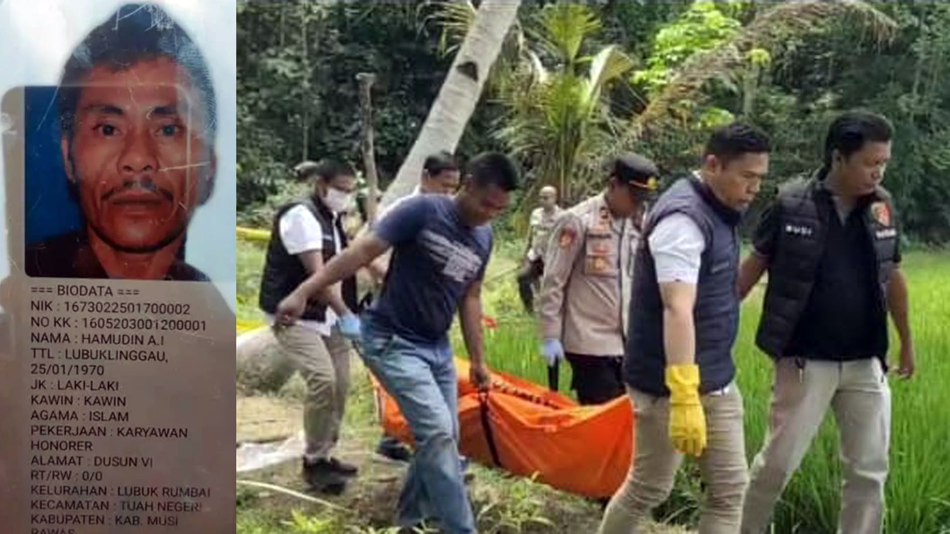 Ini Penyebab Kematian, Mayat Tak Pakai Celana di Sawah Tugumulyo Mura