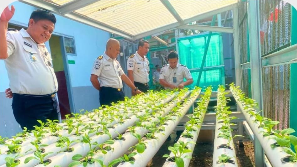 Hijau dan Produktif, Giatja Lapas Narkotika Muara Beliti Intensif Rawat Pakcoy Hidroponik