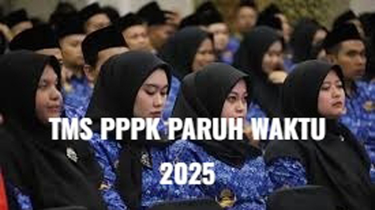 Arti TMS PPPK Paruh Waktu 2025 Serta Penyebabnya, Honorer Wajib Cek