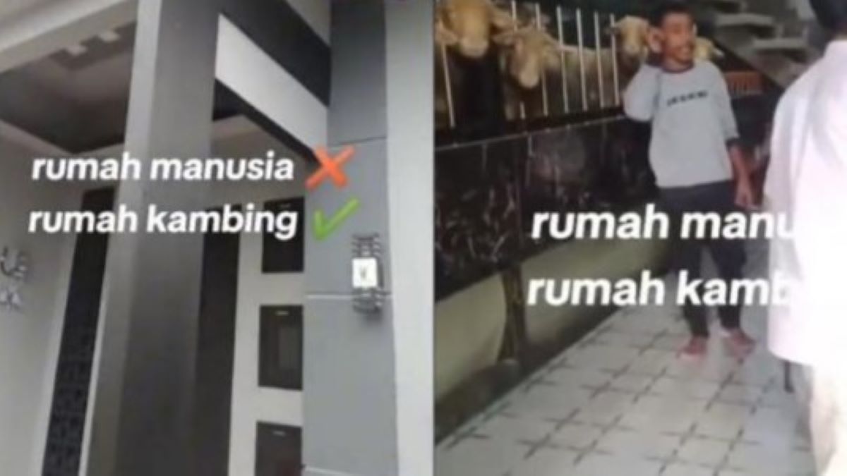 Viral Rumah Mewah Dijadikan Tempat Kambing di Banjarnegara, Warganet: yang Nyicil KPR Nangis di Pojokan