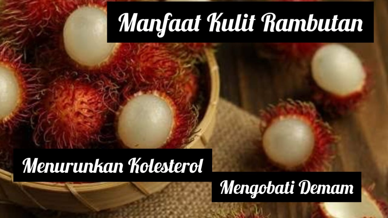 Jangan Buang Kulit Rambutan, Ini 9 Manfaat dan Khasiatnya untuk Kesehatan Tubuh 