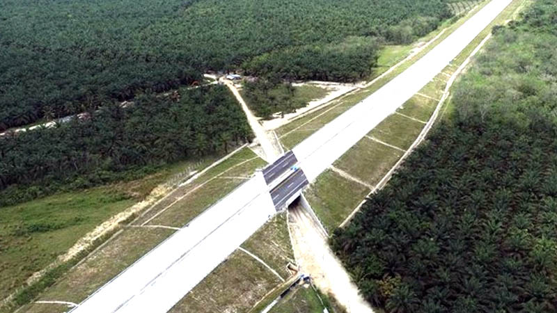 Hitung Berapa Waktu Tempuh Jalan Tol Lubuklinggau Curup Bengkulu, Ini Jawabannya?