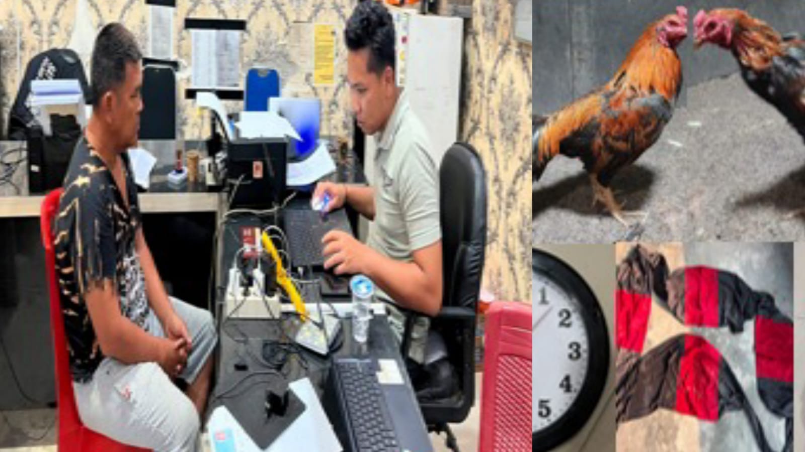 Gerebek Judi Sabung Ayam di OKU Timur, Polisi Tangkap Bandar Sediakan Lahan