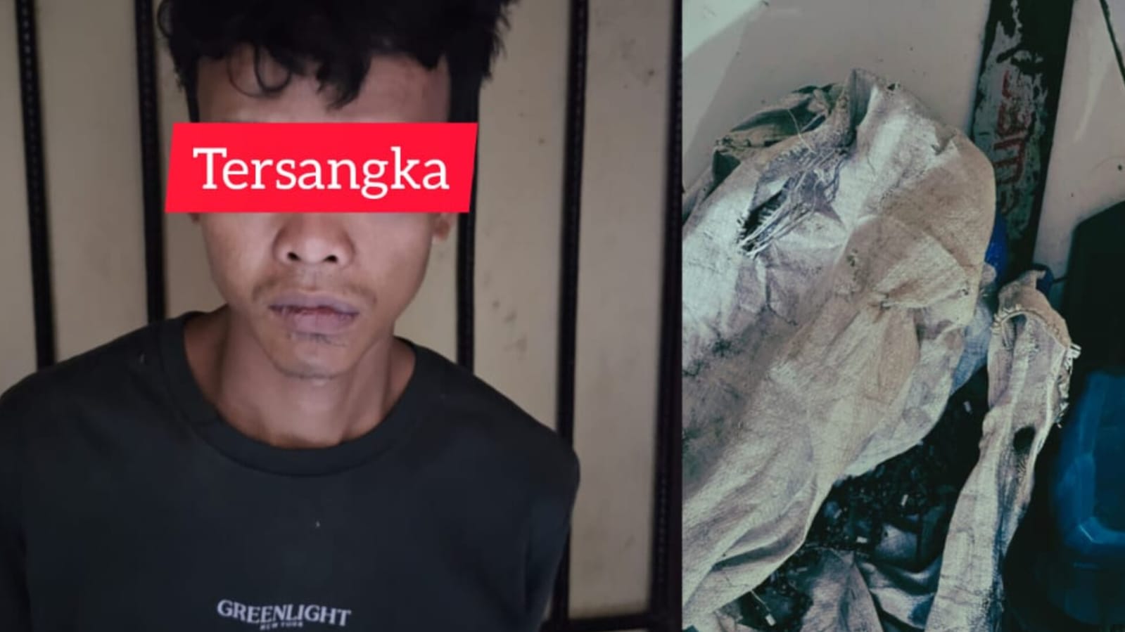 Meresahkan, Chainsaw Man Musi Rawas Ditangkap Polisi, Kejadiannya di Pondok Kebun Sawit