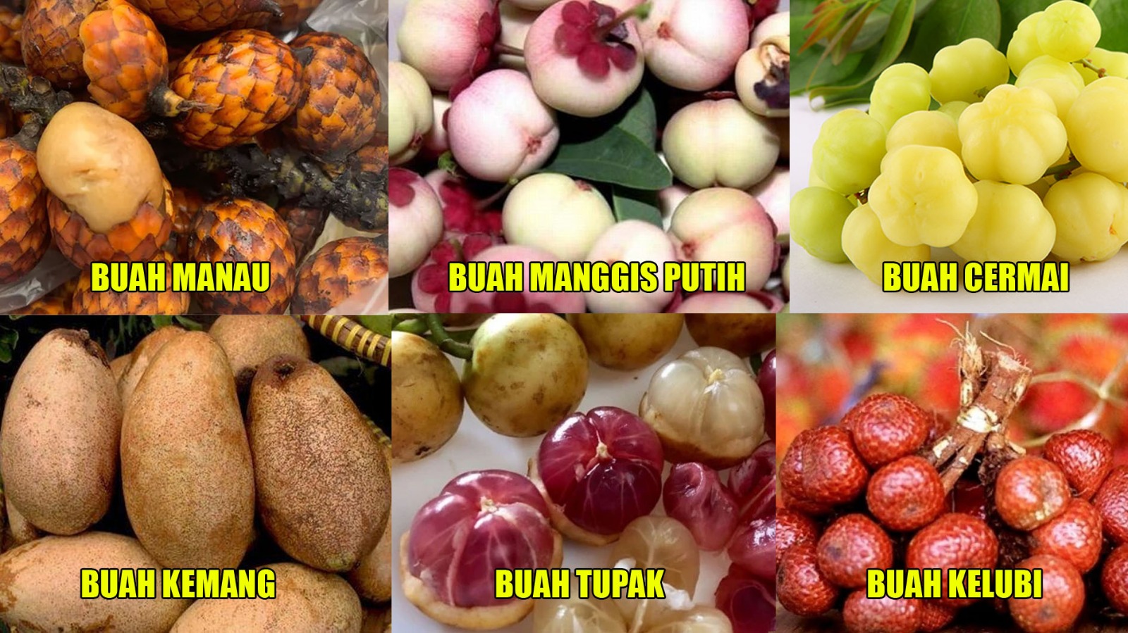 6 Buah Langka yang Hampir Punah, Apakah Kalian Pernah Memakannya