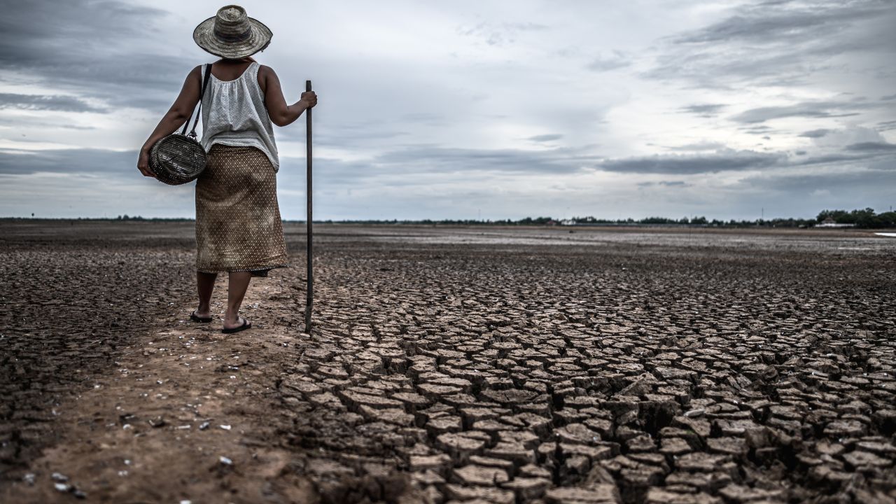Waspada El Nino Godzilla, Potensi Sebabkan Kekeringan dan Karhutla di Sumatera Selatan