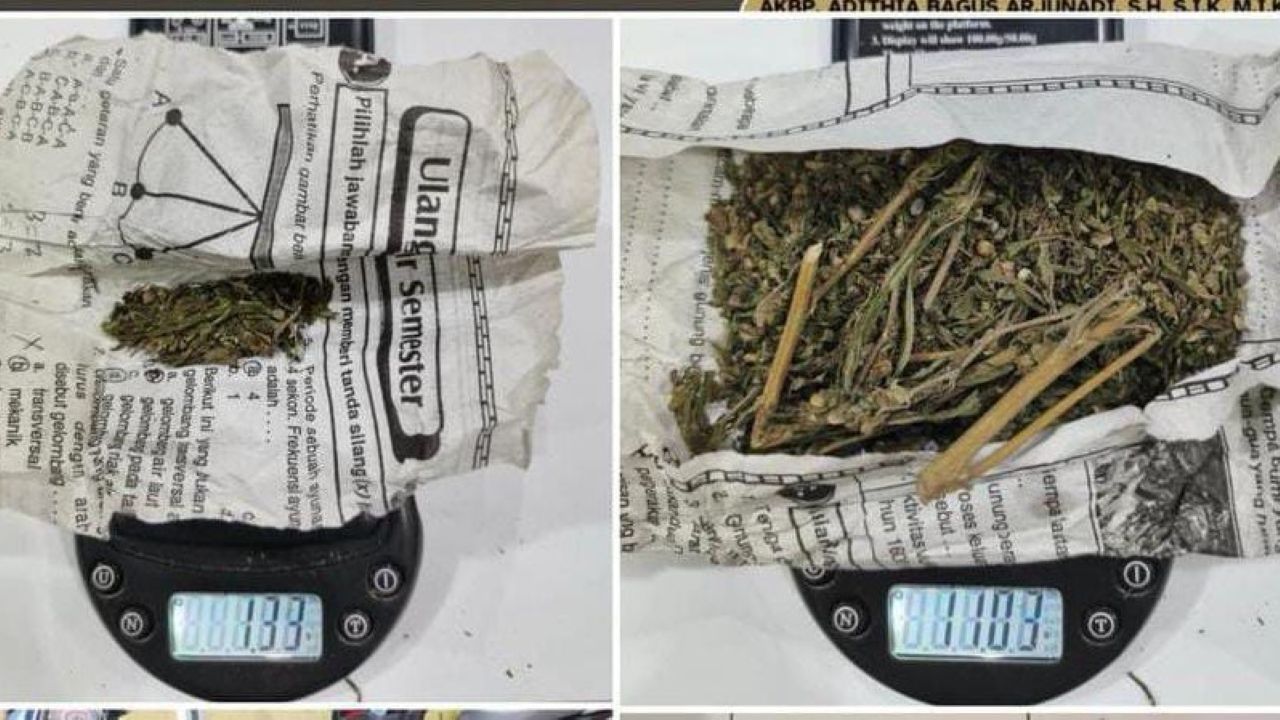 ‎Edar Ganja Saat Ramadan, 1 Tersangka Diringkus Satres Narkoba Polres Lubuk Linggau