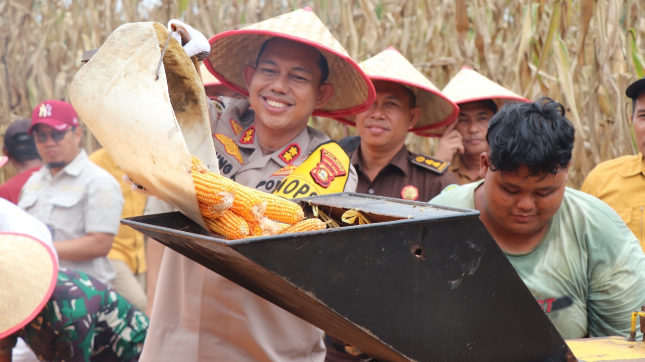 Panen Raya Jagung di Musi Rawas, AKBP Agung Adhitya: Perekonomian Meningkat Mencegah Gangguan Kamtibmas