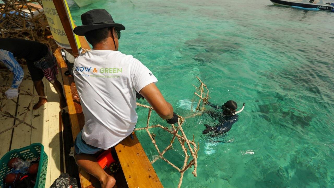 BRI Menanam “Grow & Green” Transplantasi Terumbu Karang, Jadi Ujung Tombak Pelestarian Ekosistem Laut di NTB