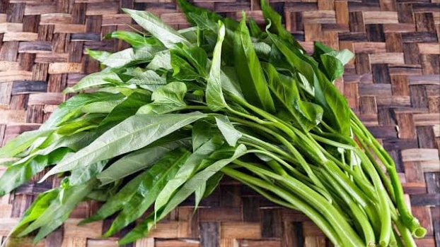 Simak, ini Kandungan Manfaat dan Vitamin dalam Kangkung