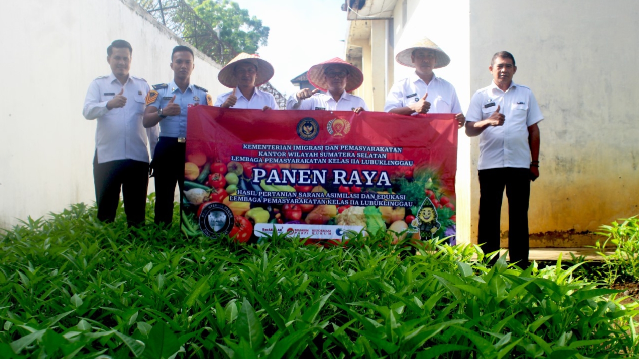 Dukung Ketahanan Pangan, Lapas Lubuk Linggau Kembali Panen Sayuran Kangkung
