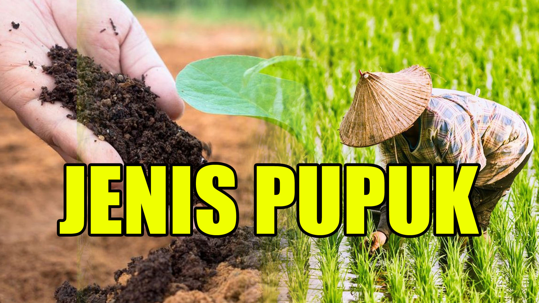 Petani Wajib Tahu, Inilah 11 Jenis Pupuk untuk Tanaman, Cek di Sini