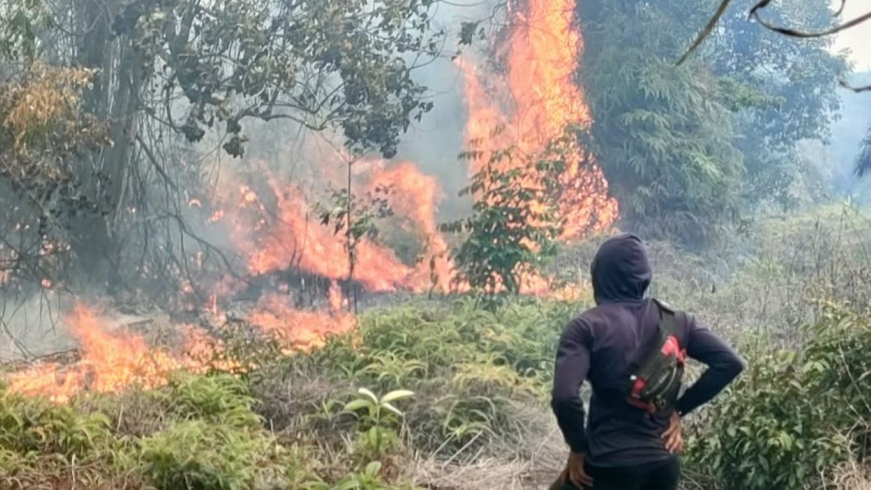 Kebakaran Lahan di Pagar Ayu Musi Rawas Mendekati Pemukiman, Sudah Ratusan Hektar Kebun Sawit Hangus