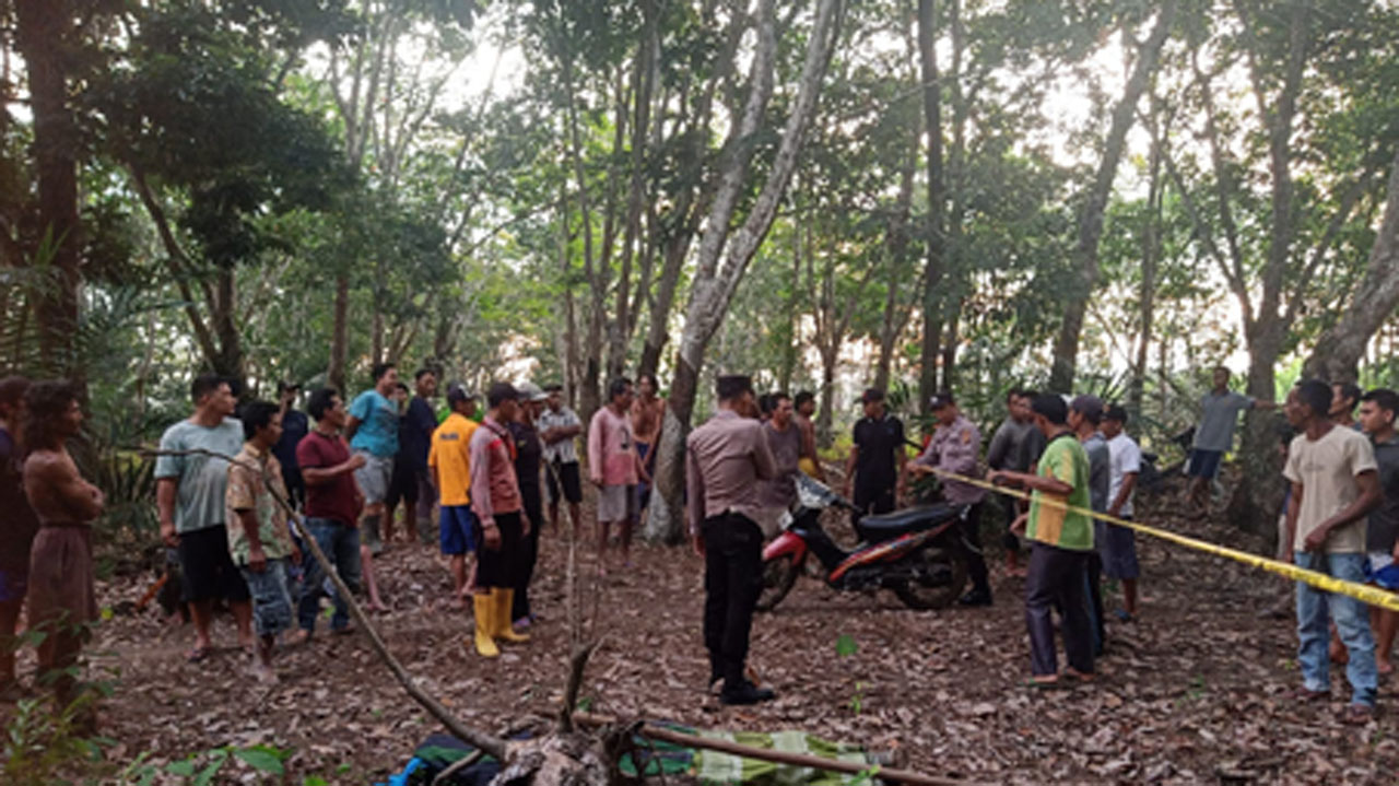 Petani di Musi Rawas Dibunuh di Kebun Karet, Ditemukan 8 Luka Tusuk