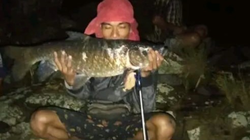 Selain Langka, Ini yang Bikin Peneliti Tergoda Meneliti Ikan Semah