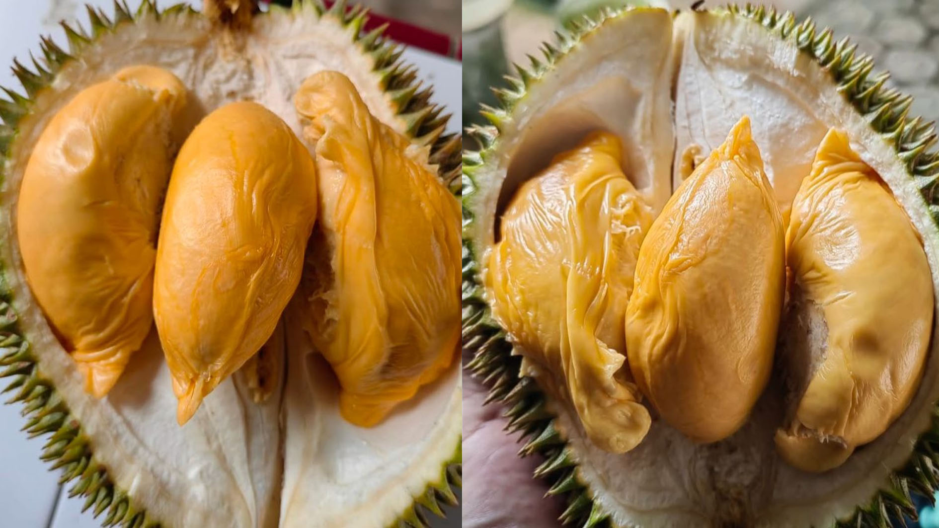 Enak dan Langka, Durian Tai Babi Dibanderol Rp500 Ribu Per Kilogram, Seperti Ini Rasanya