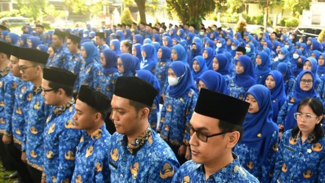 CPNS 2024 Bakal Buka Juni, Ketahui Ini Perbedaan PNS Jabatan Fungsional dan Pelaksana, Begini Ternyata