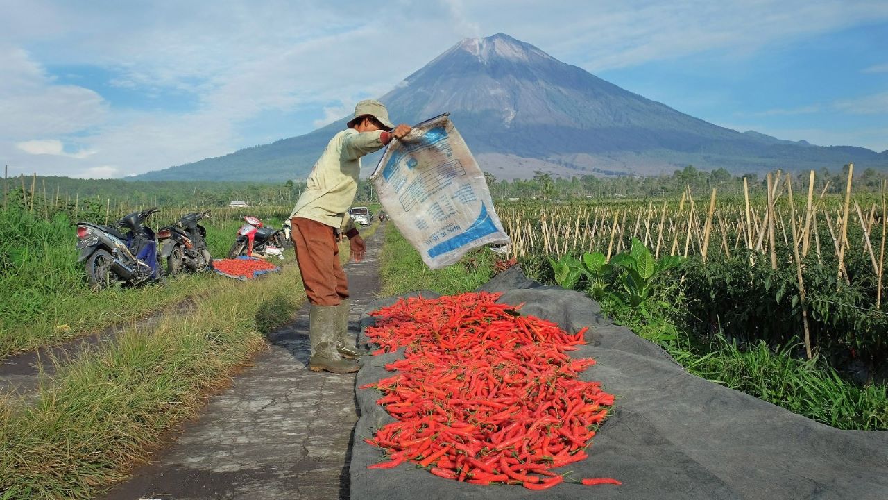 Dukung Ketahanan Pangan, BRI Salurkan KUR Rp65,95 Triliun, Jangkau 558 Ribu Petani dan 23 Ribu Nelayan