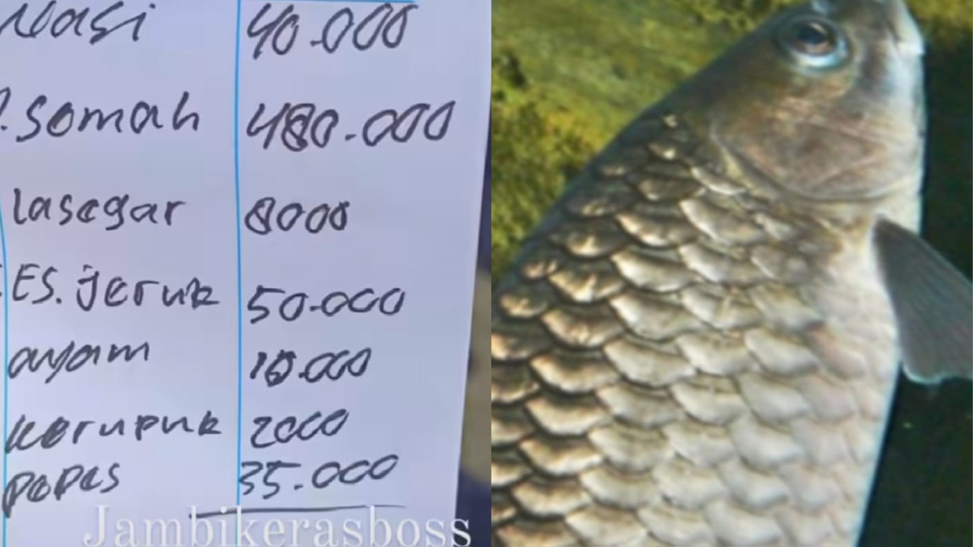 Jambi Keras Bos, Viral Harga 1 Porsi Pindang Ikan Semah Rp480.000 