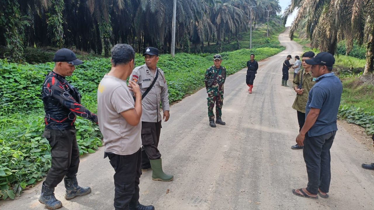 Polisi Kejar Pencuri Sawit yang Tabrak Manager PT Lonsum di Muratara
