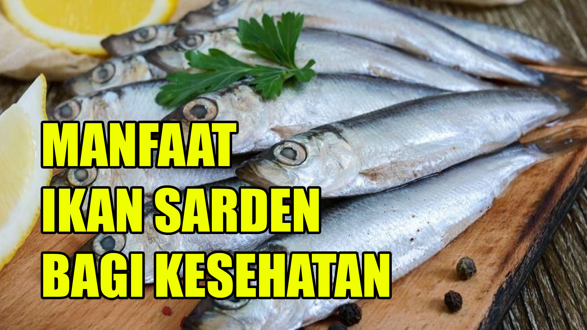 Apa Saja Manfaat Ikan Sarden Bagi Kesehatan? Cek Penjelasannya di Sini
