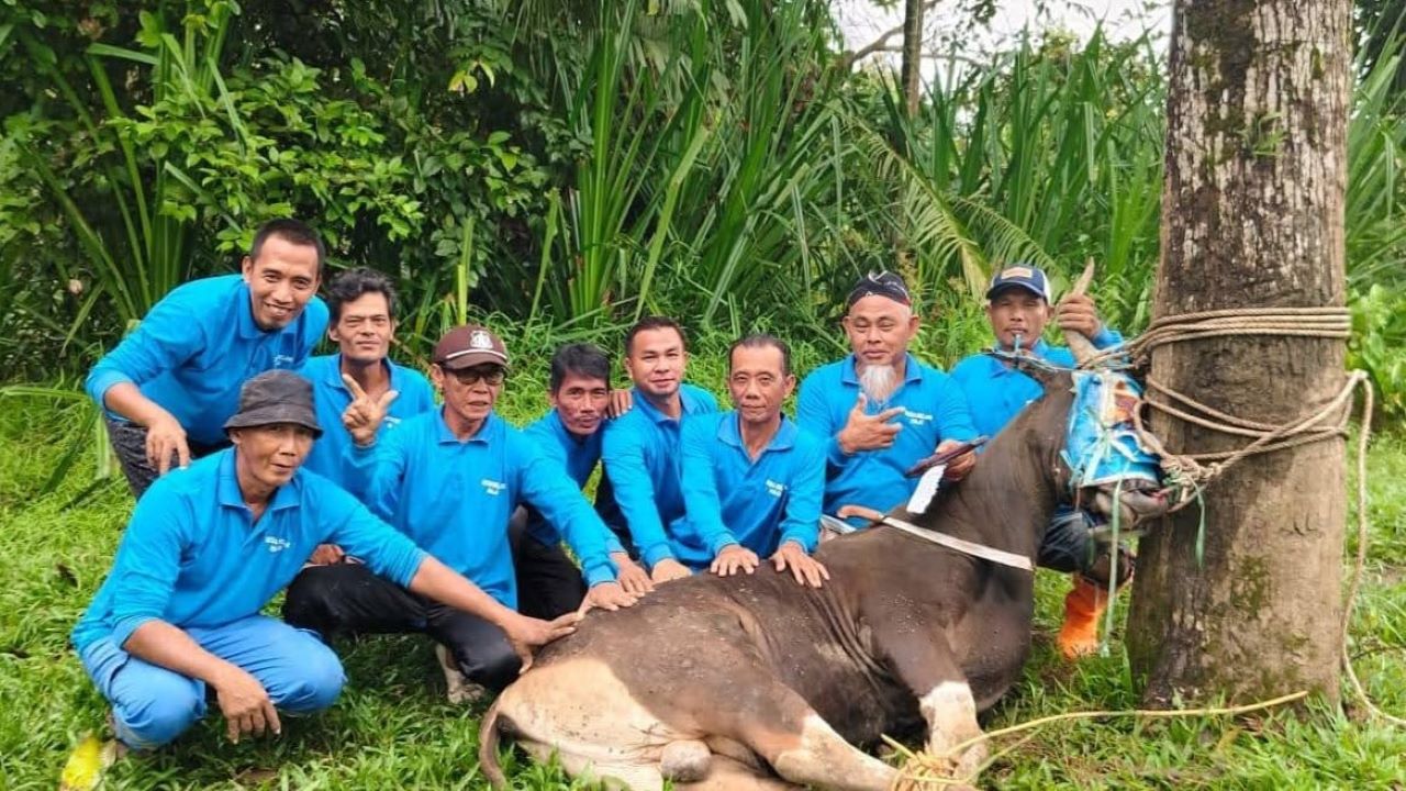 SKK Migas - KKKS Seleraya Merangin Dua Salurkan Bantuan 14 Hewan Kurban Idul Adha 1446 H