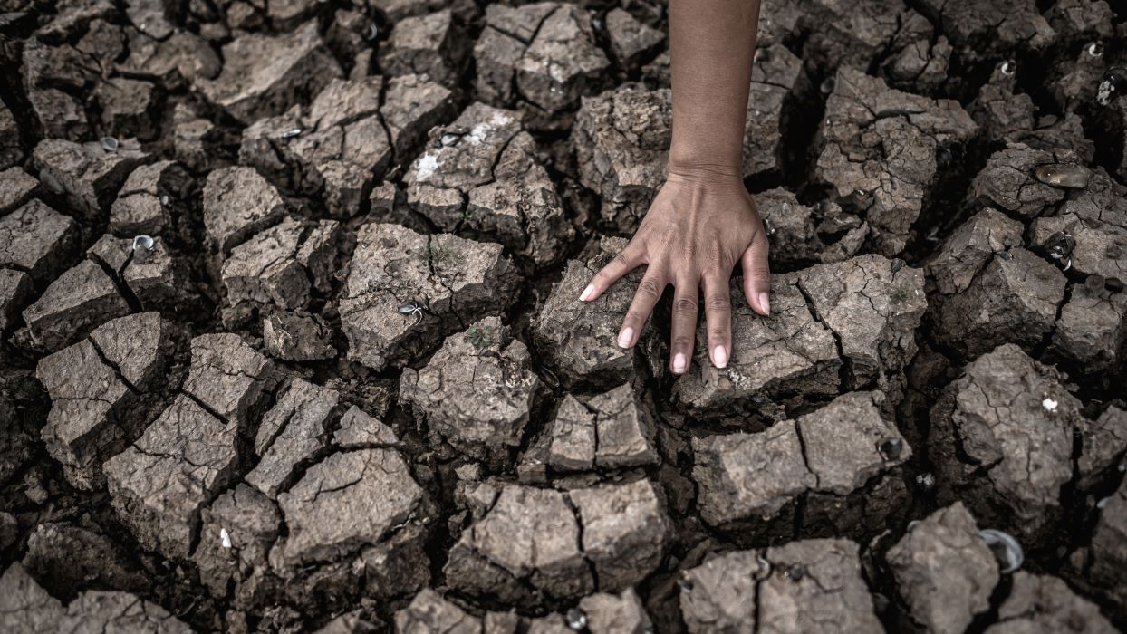 Lubuk Linggau Gempa, Namun Tidak Terasa, Ternyata ini Penyebabnya