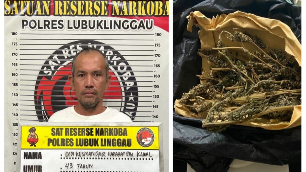 Bapak di Lubuk Linggau Buang Bungkusan Ganja Saat Disergap Polisi