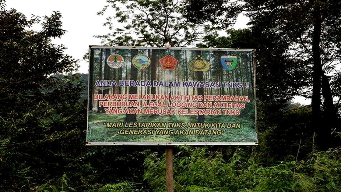 Diduga Harimau dari Lebong Bengkulu, Warga Batu Gane Musi Rawas Ditemukan Tak Bernyawa