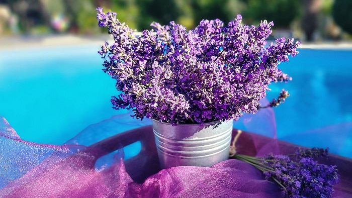Luar Biasa, Ini 5 Manfaat Minyak Lavender