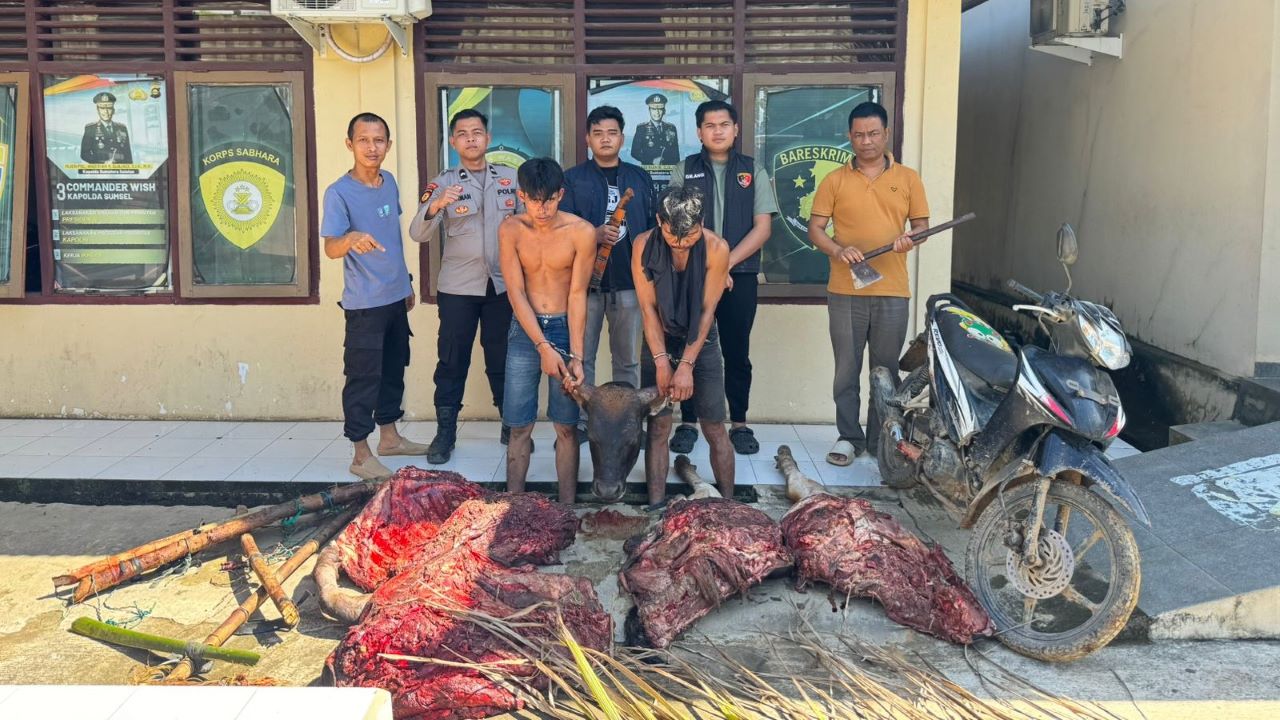 Sehari Jelang Idul Adha, Pencuri Hewan Ternak Beraksi, Diringkus Saat Sembelih Sapi di Muara Lakitan  