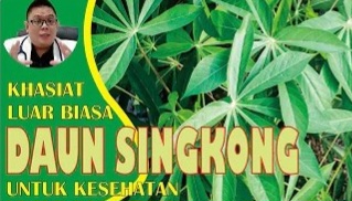 Apa Kandungan dan Manfaat Daun Singkong untuk Kesehatan, Yuk Disimak Sampai Habis 