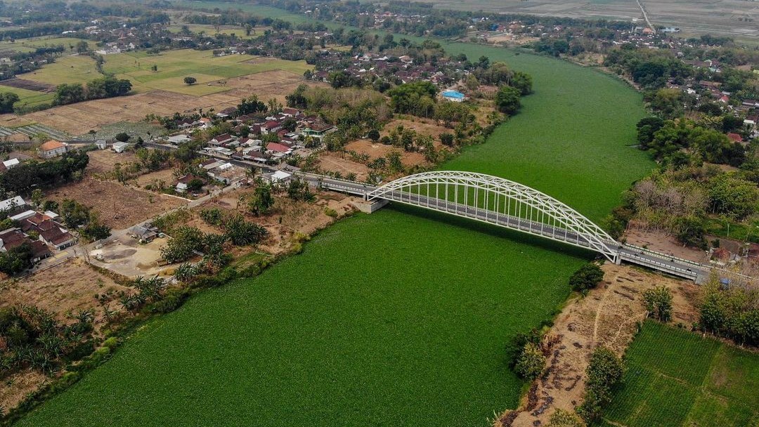 Fenomena Eceng Gondok Tutupi Sungai Bengawan Solo, Permukaan Sungainya Berubah Jadi Taman Hijau