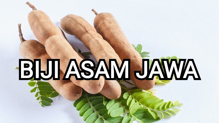 Ketahui, ini Manfaat Konsumsi Biji Asam Jawa untuk Kesehatan Tubuh