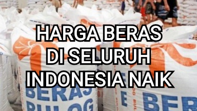 Hari ini Harga Beras di Seluruh Indonesia Terus Mengalami Kenaikan, Berikut Daftar Harganya