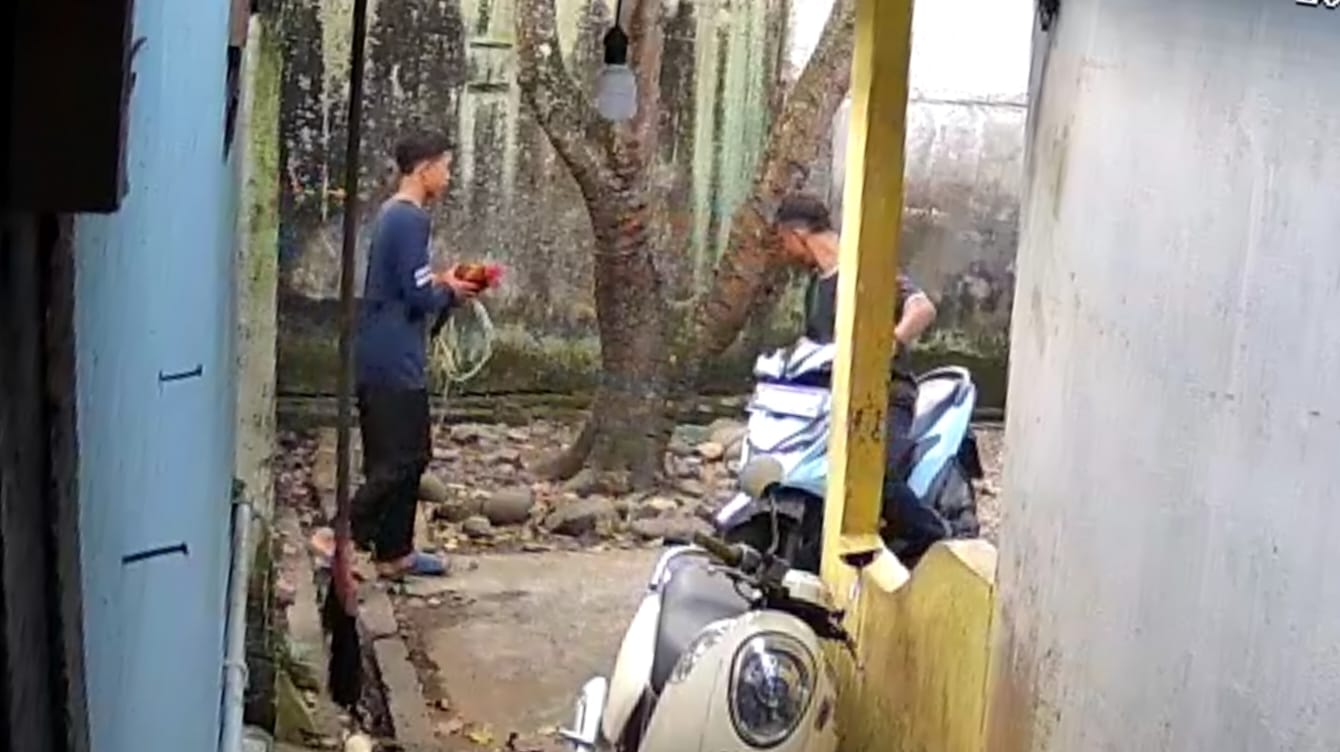 Anak di Lubuk Linggau Viral, Bawa Ayam Jago Curi Motor, Videonya Beredar