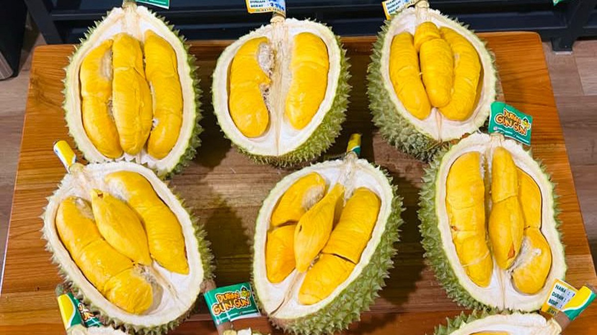 Auto Kaya! Ini 3 Jenis Duren Termahal yang Wajib Kalian Tanam, Nomor 1 Seharga Mobil Pajero Per Buah