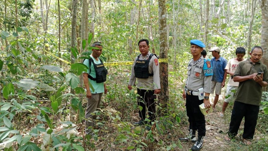 15 Ekor Gajah Serang Ibu Hamil di Mura, Korban Tewas Diinjak