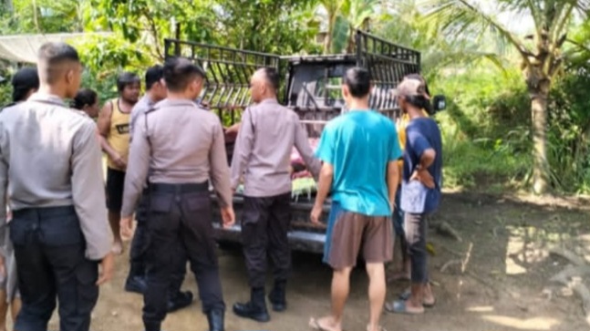 Pencari Buah Kelapa di Musi Rawas Jatuh dari Pohon 15 Meter, Berikut Penjelasan Polisi