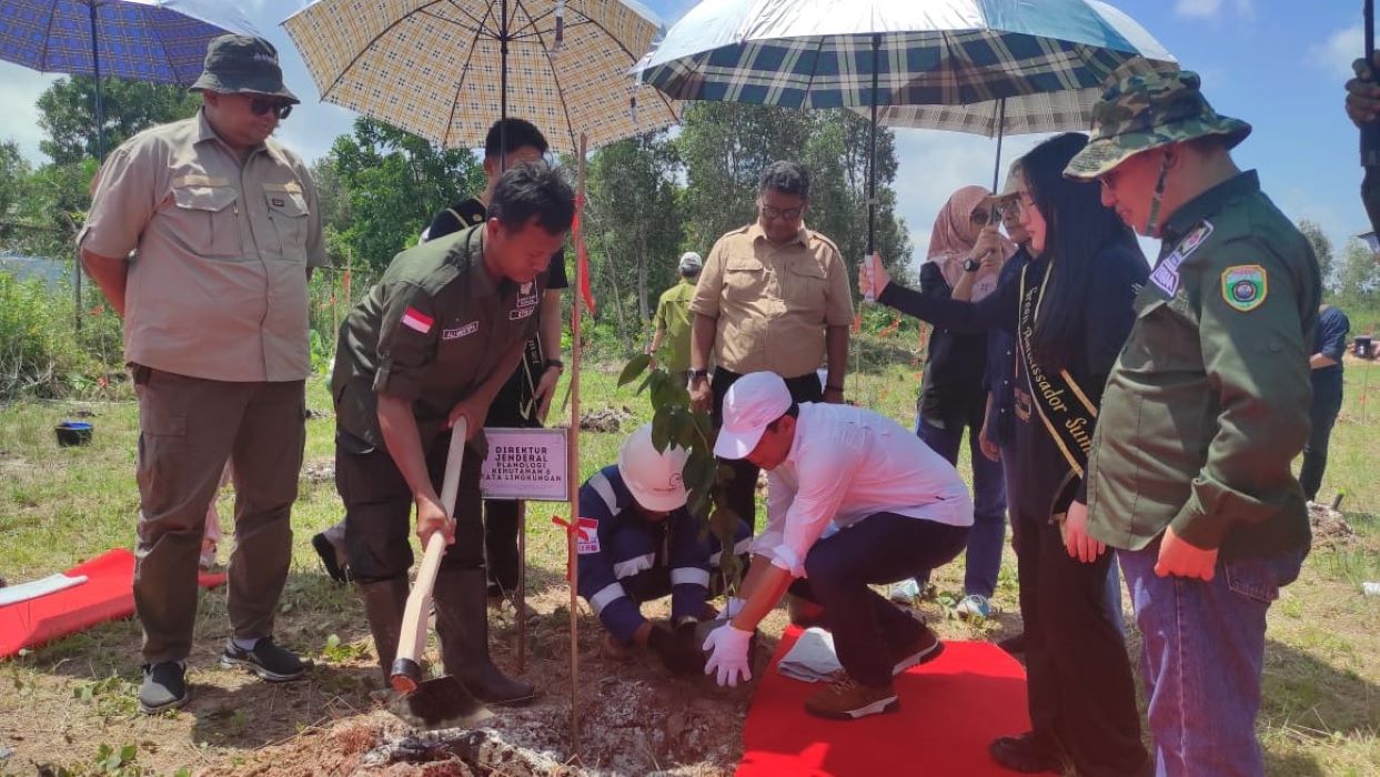 KLHK Tinjau Pelaksanaan Rehabilitasi DAS Medco E&P di Sumatera Selatan